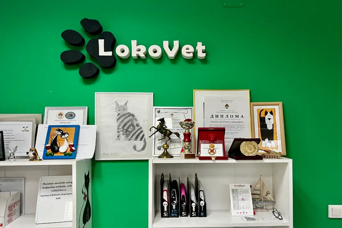 LokoVet Veterinarska ambulanta
