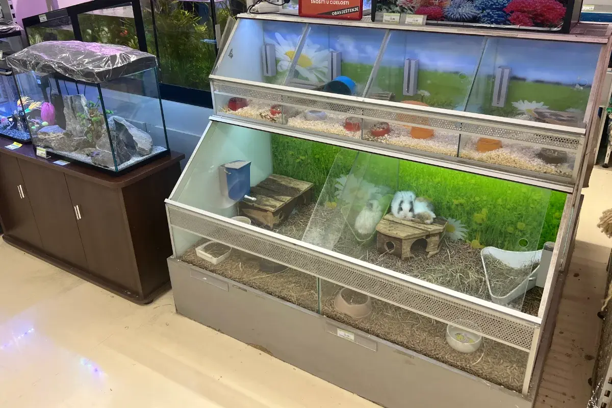 Pet Centar Centrum