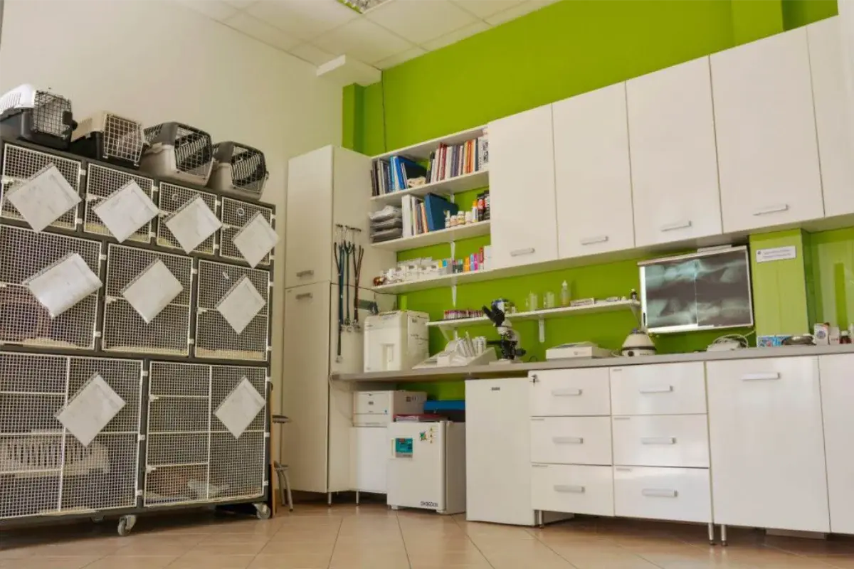 BL Vet Veterinarska ambulanta