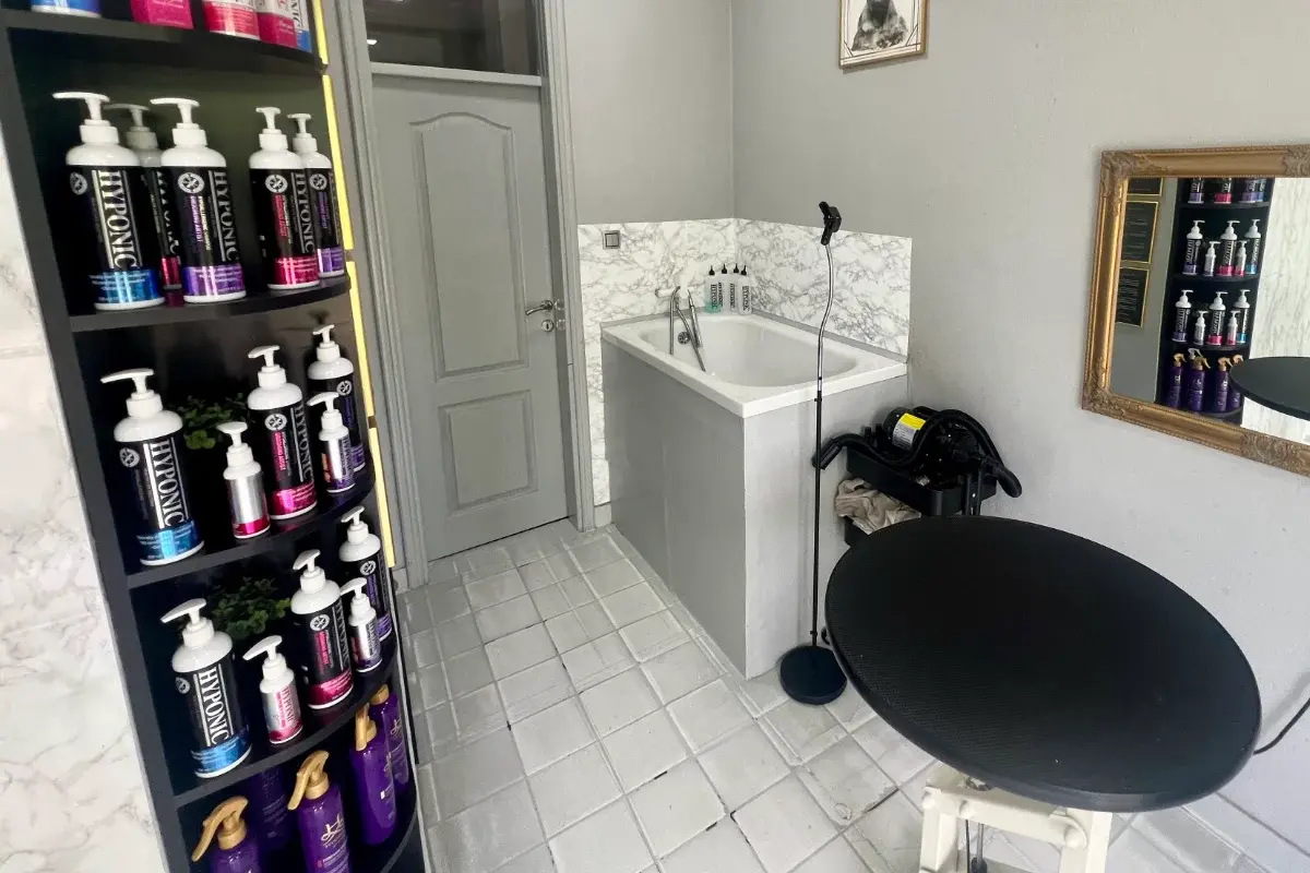 Tea's Grooming Corner