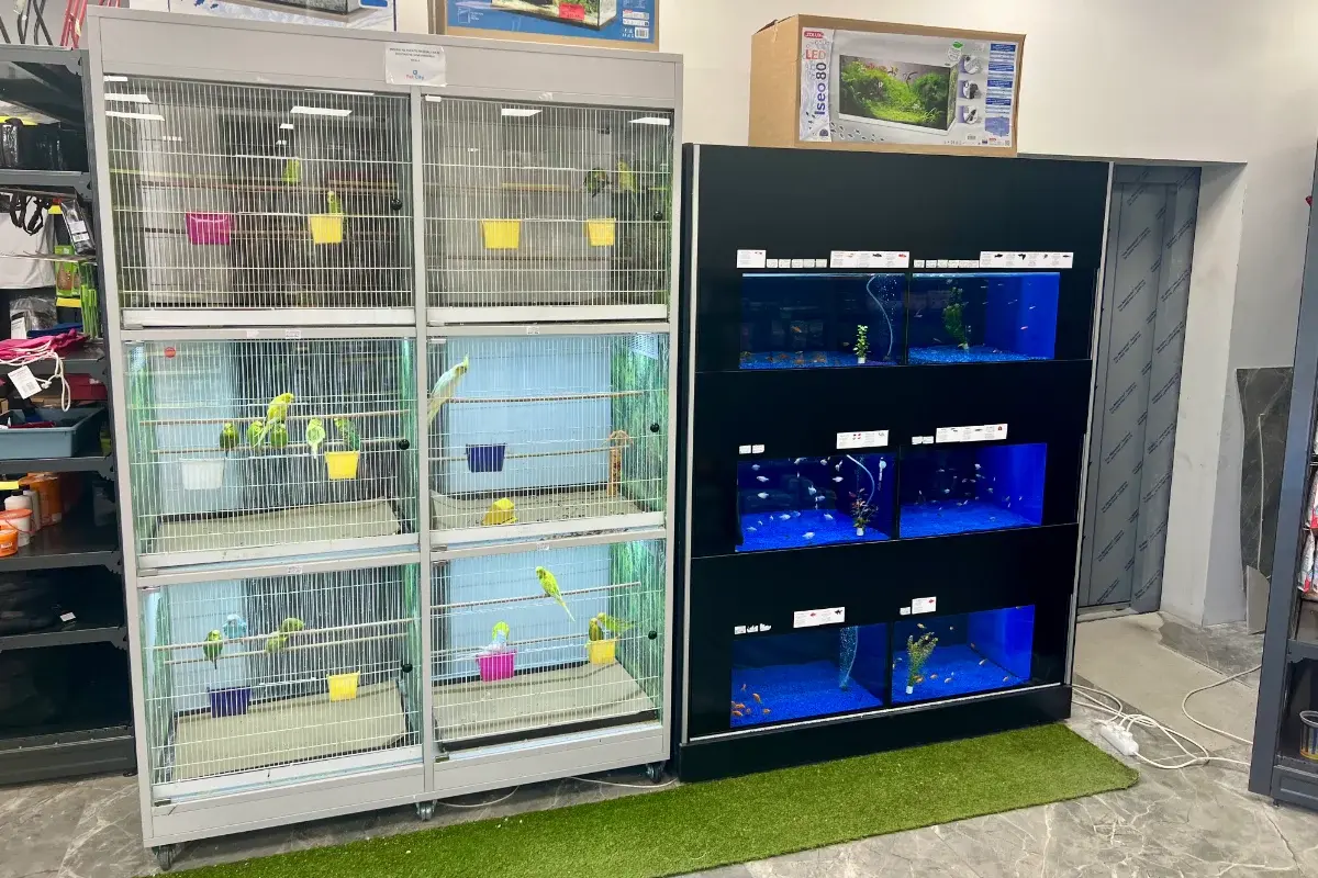 Pet City Banja Luka