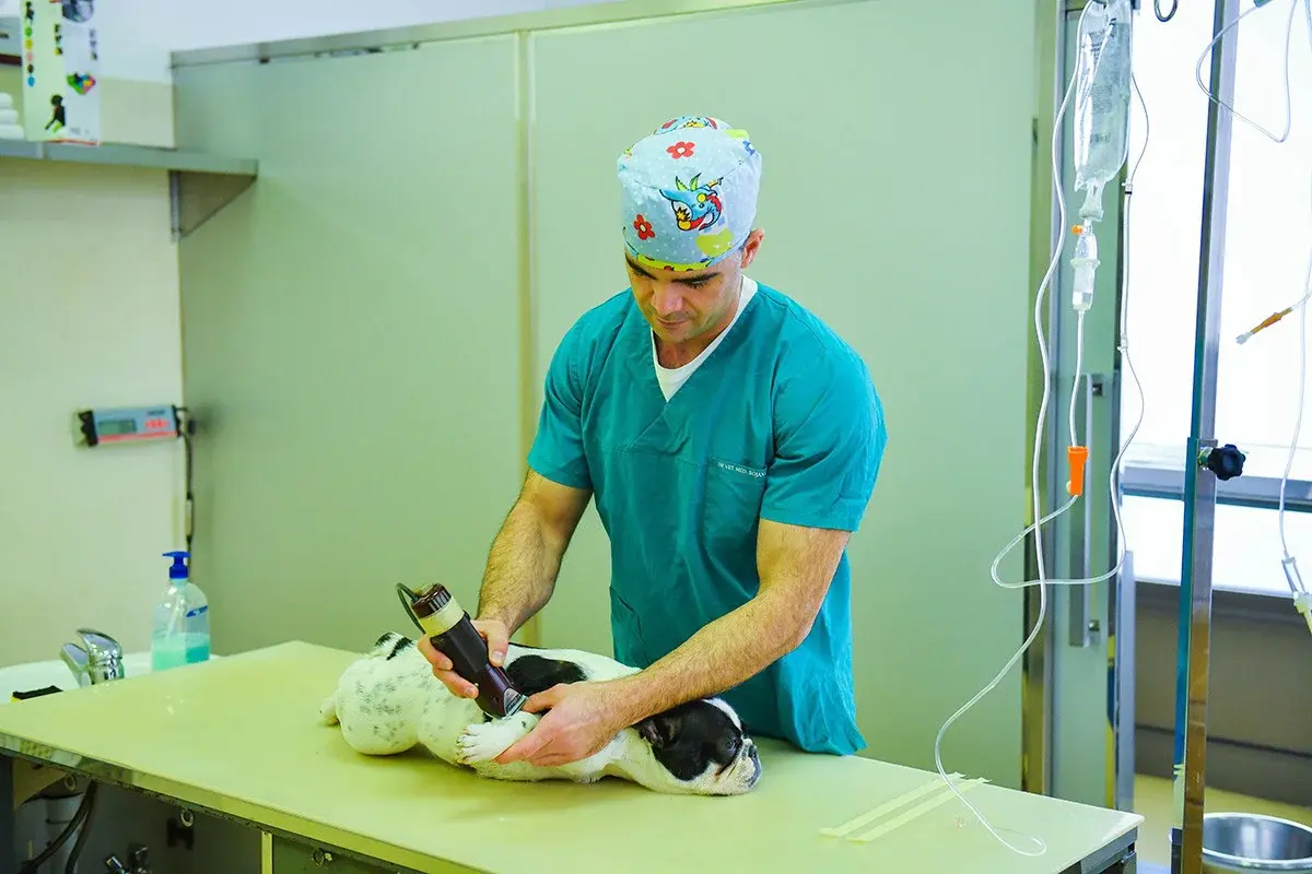MIM Coop Veterinarska Ambulanta