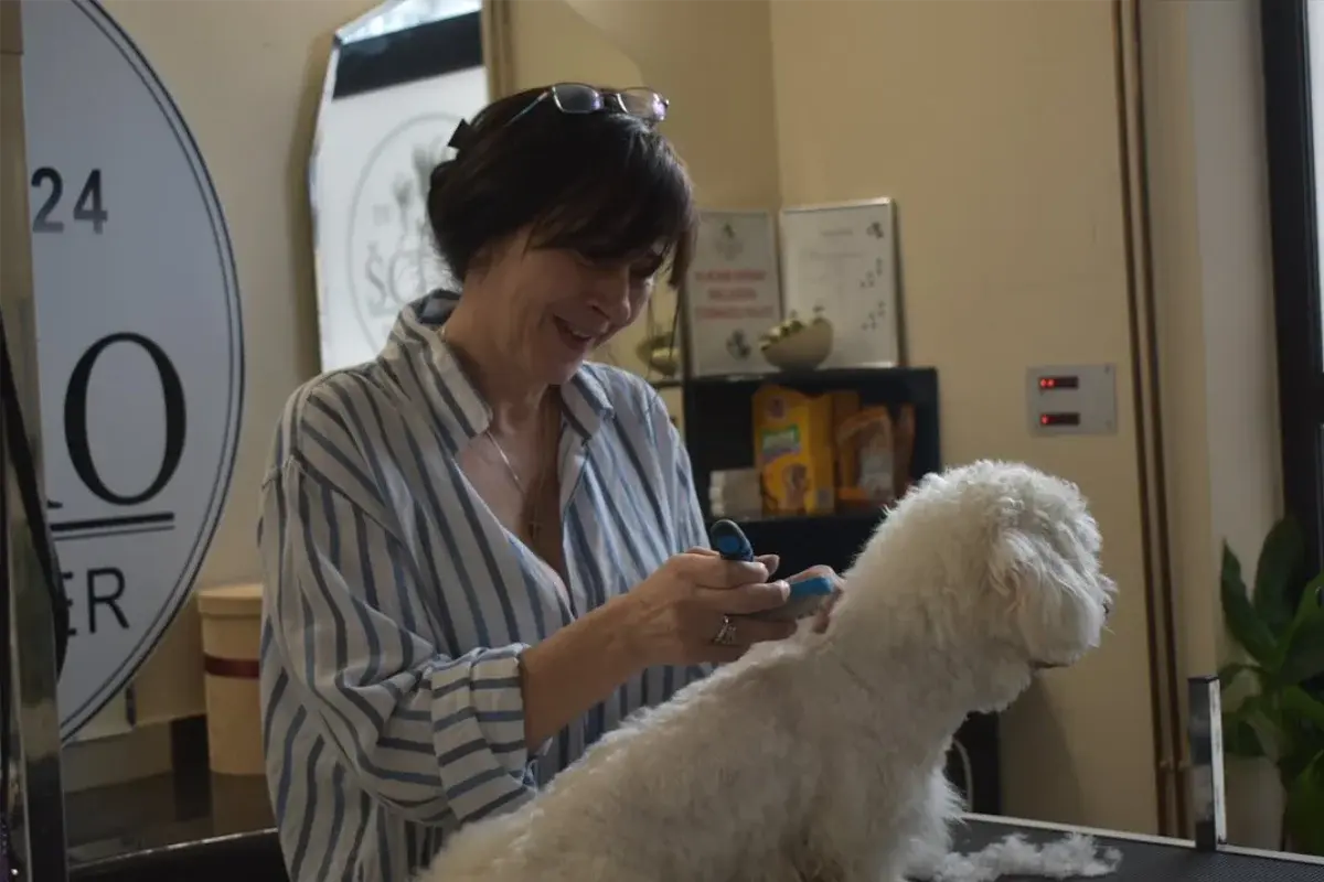 Šćuko Grooming 