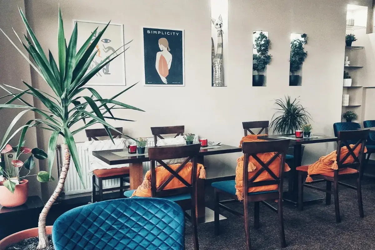 Gatto Trattoria