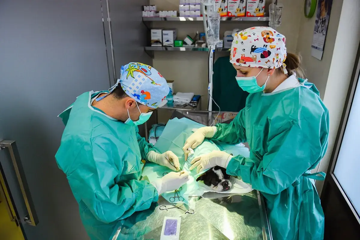 MIM Coop Veterinarska Ambulanta