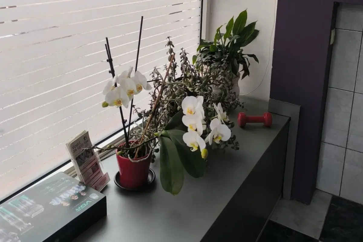 KS Muški frizerski salon