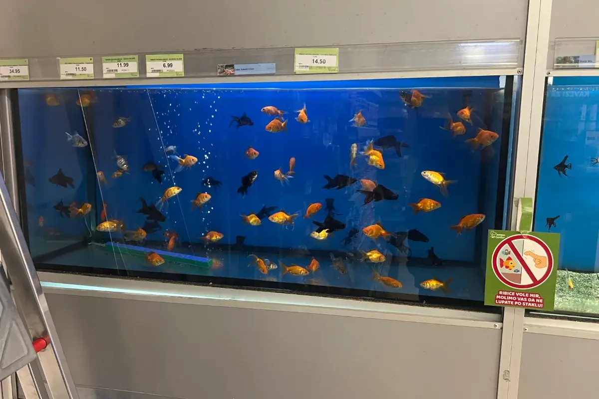 Pet Centar Centrum