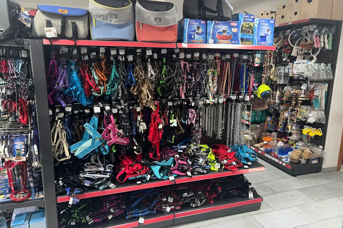 Pet Centar na Malti
