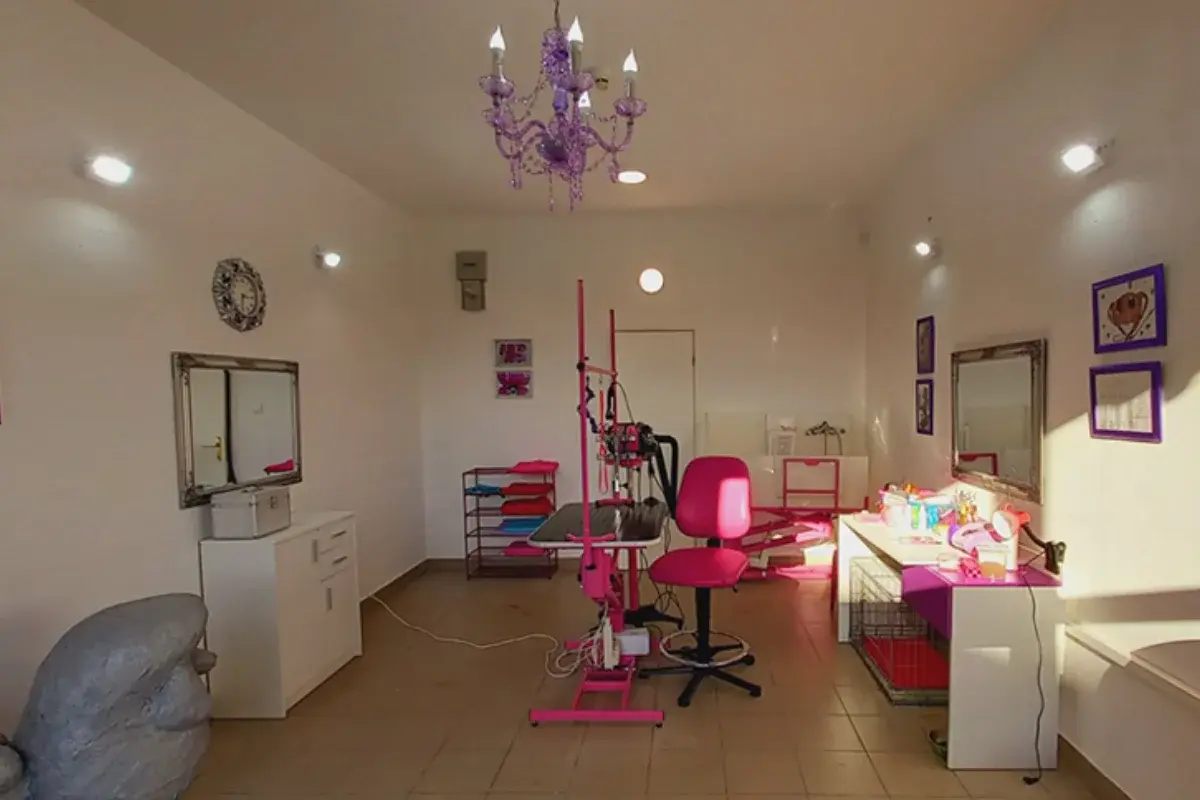 Grooming salon Tango