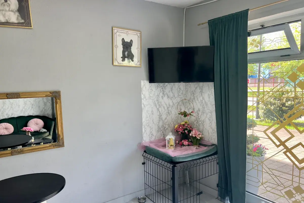 Tea's Grooming Corner