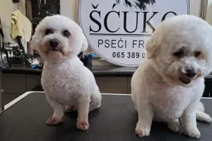 Šćuko Grooming 