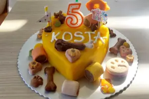 Torte za pse Banja Luka