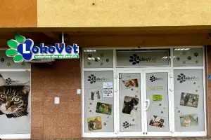 LokoVet Veterinarska ambulanta